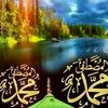 marwo67a