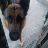 lindi_702