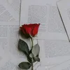 jwkowlwle
