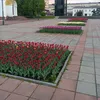 lyudmila12345_