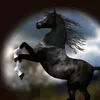 user4148101120657