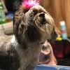 alittlebitbossy2