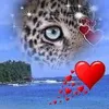 user158181544
