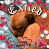 shirleychitwood52