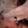 miau_36
