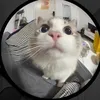 emmiebug7