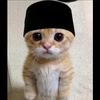 halalcat1