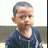 ini.aseli