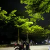 penggabutanhakky