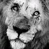 moy._m