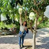 usermtuyethuynh