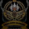 ascank212gunkar
