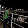 ali_yusmardi