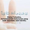 mia_new24