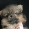 katwj1