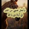 user2658806727811