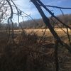 realtree3006