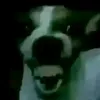 dyktxpze0v4c