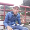 91677113hai