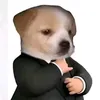 thichsoclolawms