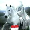 rijal7998
