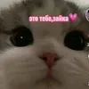 dasha_am3
