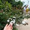 lekimanh381411
