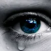 user8617616187192