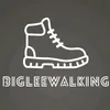 bigleewalking