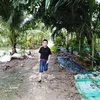 dyfzglt72t8h