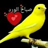 ameralhwb7