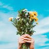 user___xyz00
