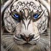 ov3rgrownjaguar