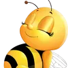 pchelka.me