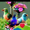 user2863204444159nasima