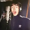 flap_jack_ellis