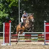 h_.equestrian_