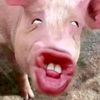 pablomatt_editz_yt