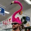 mechasteve