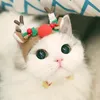 zizs_cat