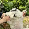 whitechickenmeat
