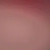 noahbaron655