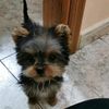 javier12_q
