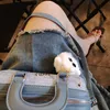 thao_79_xuli