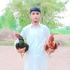 imranbaloch5395