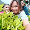 dhessy2612