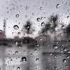 rainpluviophile2024