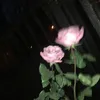 jxanou_