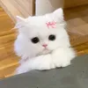 kimvy018