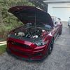 5.0wyatt